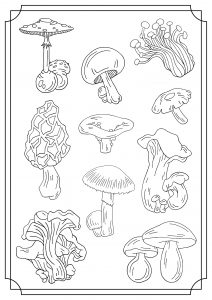 Coloring page mushrooms for kids