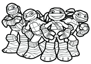 Ninka Turtles, Kawai Style