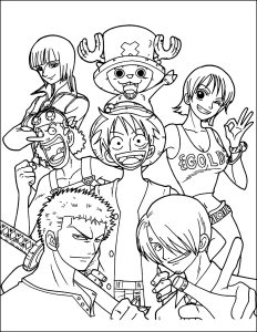 Various One Piece heroes