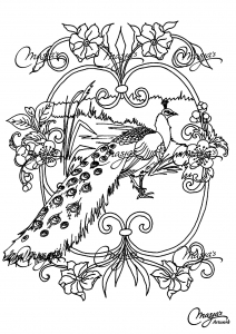 coloring-page-peacocks-to-print-for-free