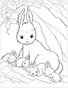 Image of rabbit with bunnies to print and color