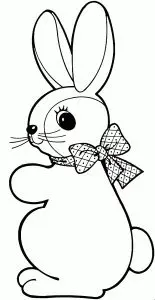 Cute Rabbit