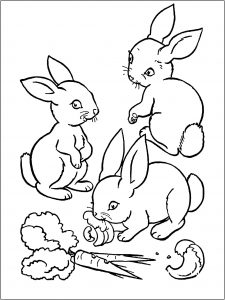 Printable bunnies coloring pages for kids