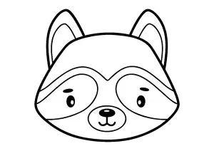 Raccoon head