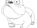 Rio coloring page for kids