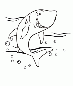 Free shark drawing to print and color