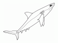 Free shark coloring pages to download