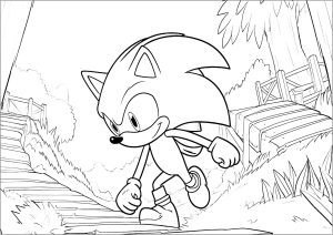 Shadow the hedgehog and a golden ring - Sonic Coloring Pages