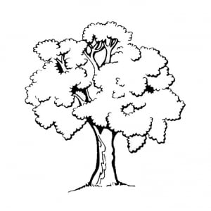 Pretty Little Tree