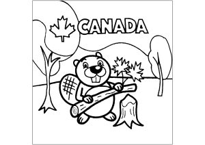 Canada Beaver Trimming A Tree Trunk