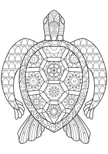 Turtle with geometric shapes