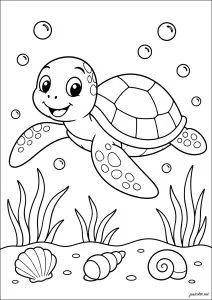 Small sea turtle
