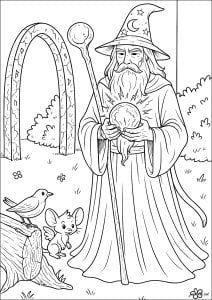 Old Wizard And Mysterious Object In The Wild