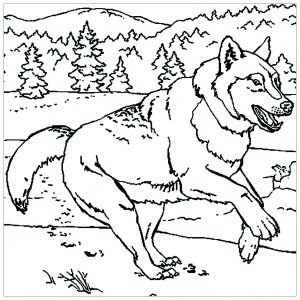 Running Wolf
