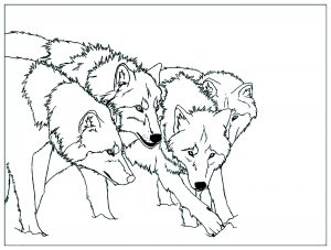 Wolf Pack