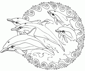 Mandala a colorier animaux gratuits dauphins