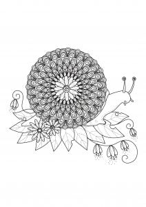 Mandala a colorier escargot 1