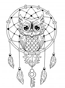 Mandala hibou attrape reve