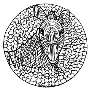 Mandala zebre normal 1