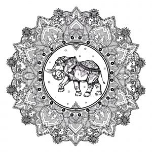 Coloriage adulte mandala elephant 123rf 1