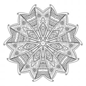 Mandala abstrait feuilles