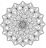 Mandala fleuri et feuillu