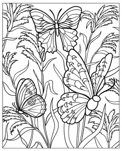 Coloriage adulte papillons plantes