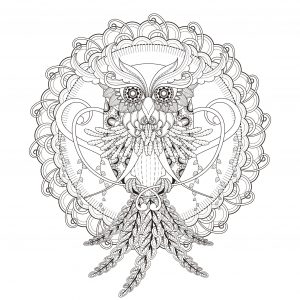 Beautiful owl in a mandala by kchung