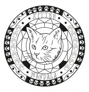 Mandala kitten