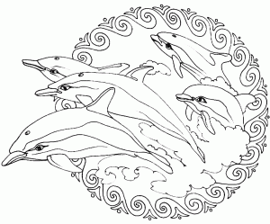 Mandala to color animals frees dolphins