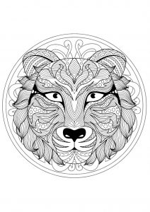 Mandala difficult tiger head 1