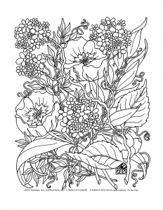 Coloring page flowers and vegetation savage flowers