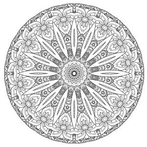 Mandala haute qualite