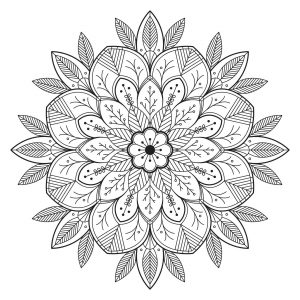 Leaves , 100% Mandalas Zen \u0026 Anti,stress