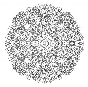 Mandala to download magical flowers