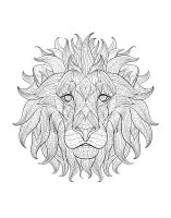 Afrique tete lion 3