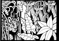 Afrique Dessin Girafes