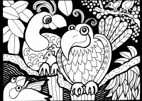 coloriage-afrique-dessin-oiseaux