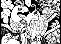 Afrique dessin oiseaux