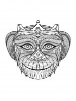 Coloriage adulte afrique tete de singe