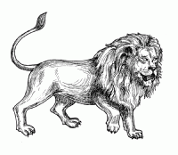coloriage-afrique-lion-gravure