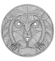 Regard de félin en motifs concentriques