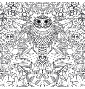 Chouette Coloriages Difficiles Pour Adultes Chouette Coloriages Difficiles Pour Adultes