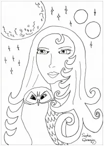 Pleine Lune Et Hibou