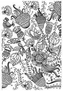 coloriage-antistress-oiseaux