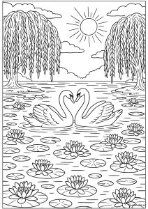 Étang aux Nymphéas