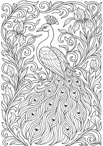 Paon majestueux dans un écrin Art Nouveau