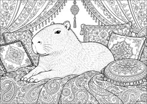 Capybara