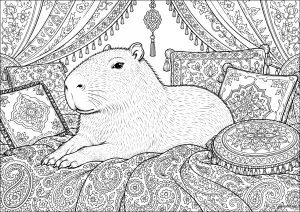 Capybara allongé sur des coussins