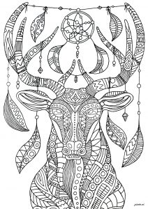 Cerf Attrape Rêves Complexe